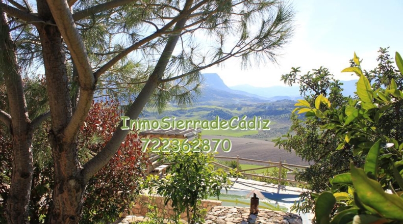 Cádiz - Algodonales - 9377m2