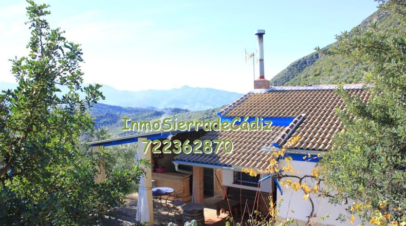 Cádiz - Algodonales - 9377m2