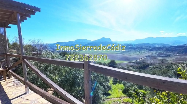 Cádiz - Algodonales - 9377m2