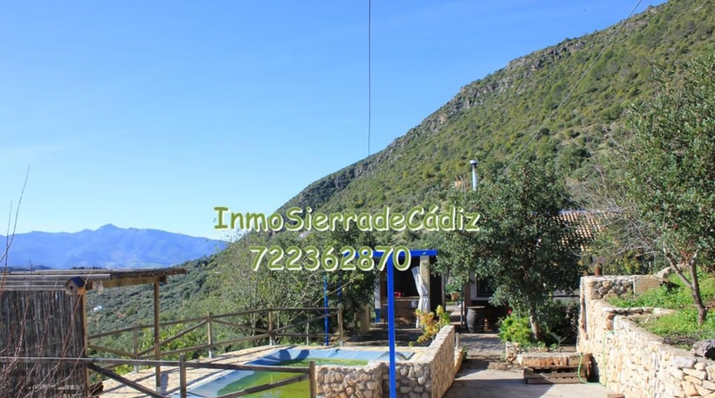 Cádiz - Algodonales - 9377m2