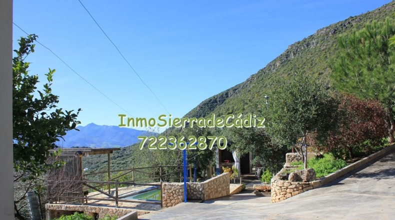 Cádiz - Algodonales - 9377m2