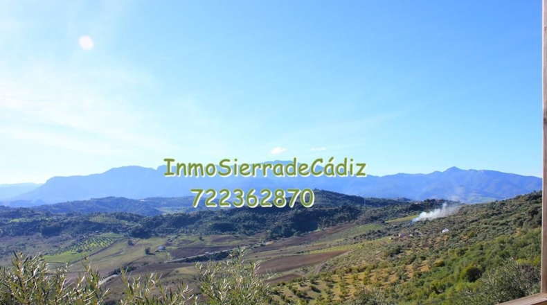 Cádiz - Algodonales - 9377m2