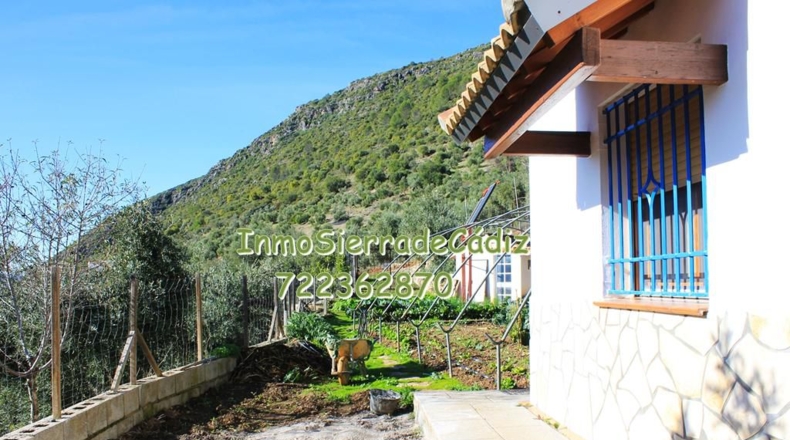 Cádiz - Algodonales - 9377m2