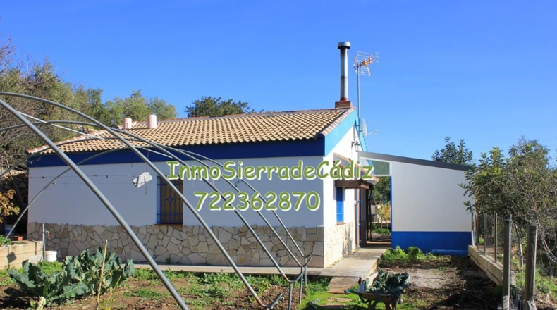 Cádiz - Algodonales - 9377m2