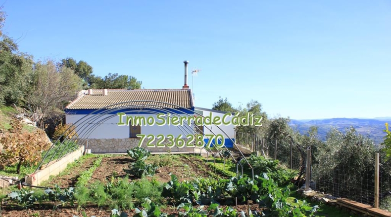 Cádiz - Algodonales - 9377m2