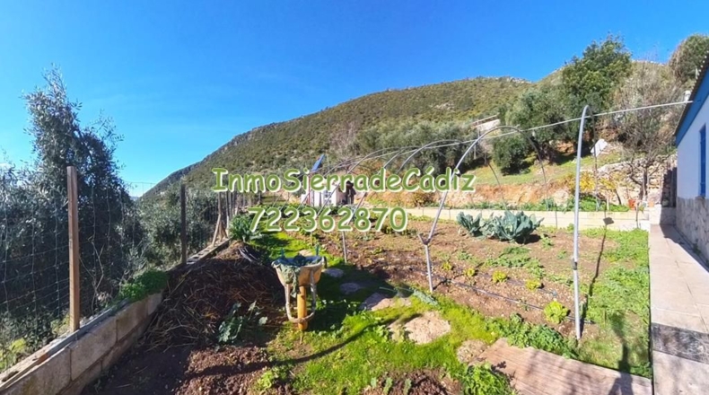 Cádiz - Algodonales - 9377m2