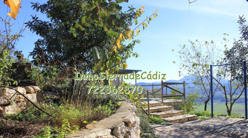 Cádiz - Algodonales - 9377m2