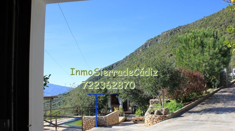 Cádiz - Algodonales - 9377m2