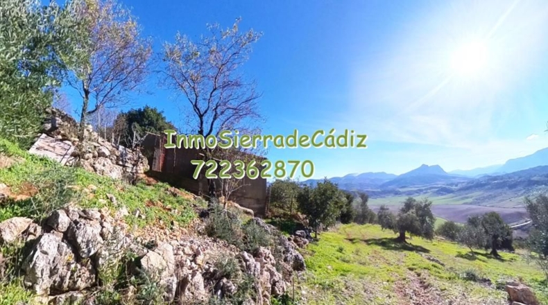 Cádiz - Algodonales - 9377m2