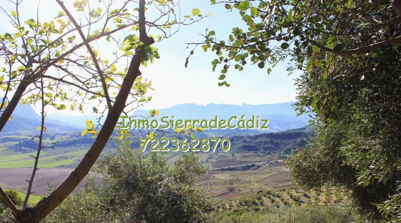 Cádiz - Algodonales - 9377m2