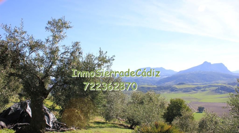 Cádiz - Algodonales - 9377m2