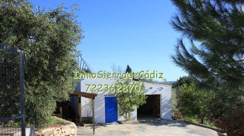 Cádiz - Algodonales - 9377m2