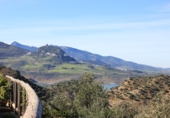 Country house with land for sale in El Gastor ref: TR382044 photo