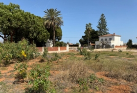 Castelló de la Plana 1252&nbsp;m² 