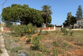 Castelló de la Plana 1252&nbsp;m² 