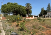 Sòl urbà en venda a Castelló de la Plana ref.: TR110887 foto