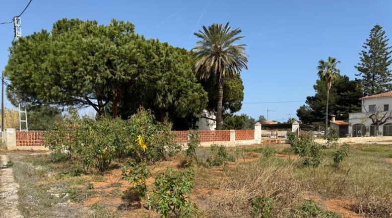 Castellón - Castelló de la Plana - 1252m2