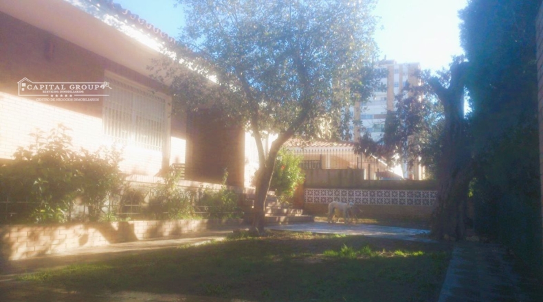 Huelva - Huelva - 500m2