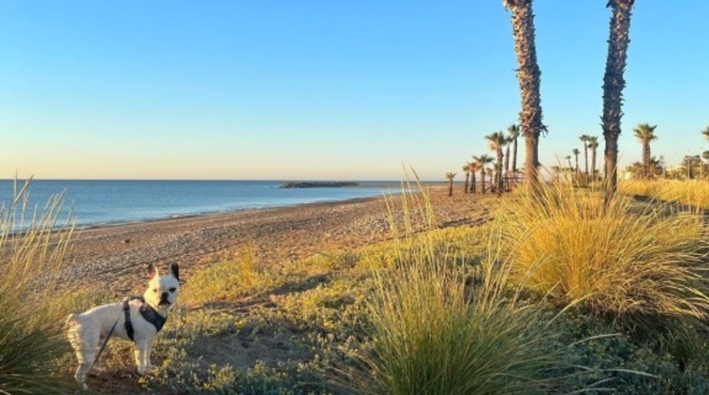 Castellón - Almassora - 180m2