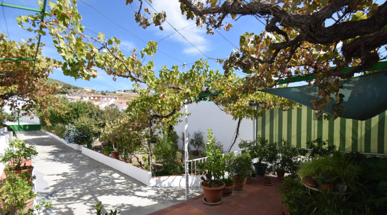 Granada - Íllora - 975m2
