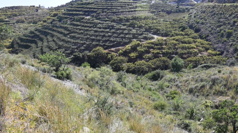 Granada - Salobreña - 5796m2