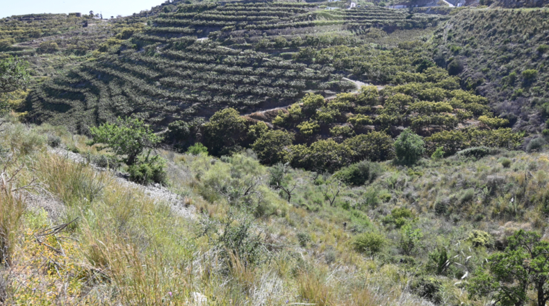 Granada - Salobreña - 5796m2