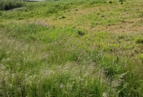 O Pazo de Irixoa 3600&nbsp;m²