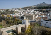 Sòl urbà en venda a la Avenida de Andalucía, Pinos Puente, ref.: TR403329 foto