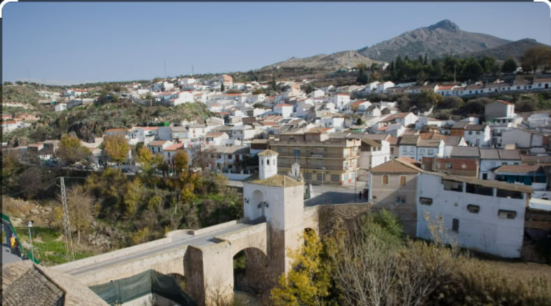 Granada - Pinos Puente - 8954m2