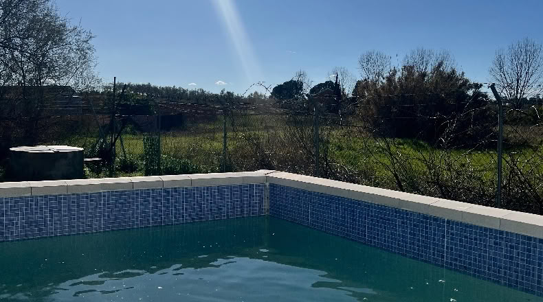 Huelva - La Palma del Condado - 636m2