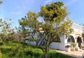 Finca rústica en venta en Gibraleón ref: TR264569 foto