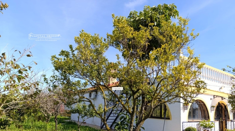 Huelva - Gibraleón - 6623m2