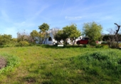 Finca rústica en venta en Gibraleón ref: TR264569 foto