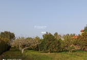 Finca rústica en venta en Gibraleón ref: TR264569 foto