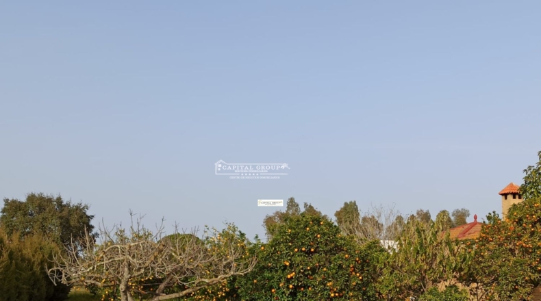 Huelva - Gibraleón - 6623m2