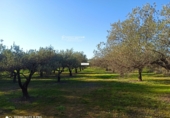 Finca rústica en venta en Gibraleón ref: TR264569 foto