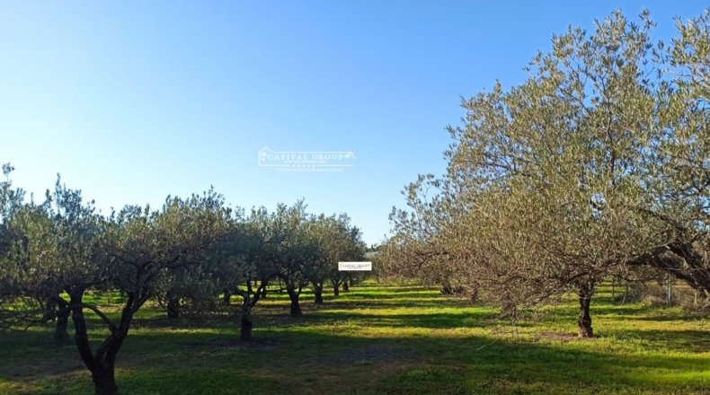 Huelva - Gibraleón - 6623m2