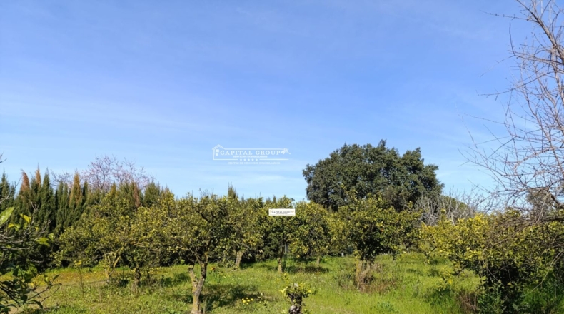 Huelva - Gibraleón - 6623m2