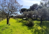 Finca rústica en venta en Gibraleón ref: TR264569 foto