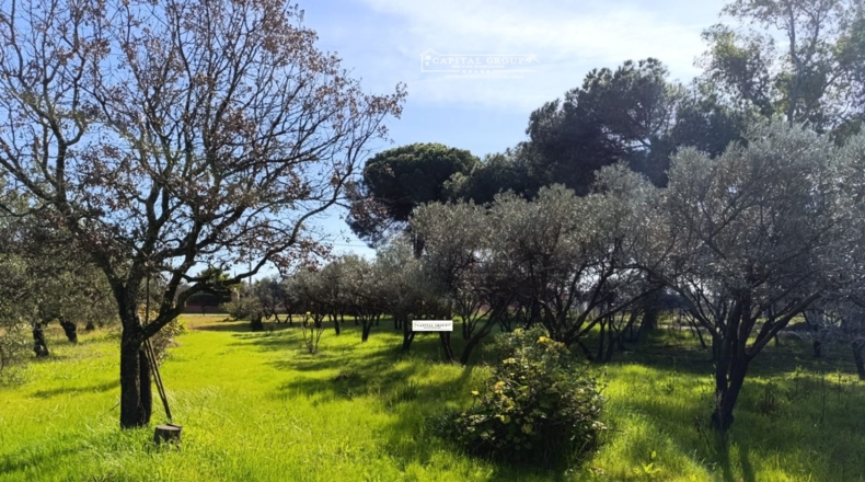 Huelva - Gibraleón - 6623m2