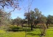 Finca rústica en venta en Gibraleón ref: TR264569 foto