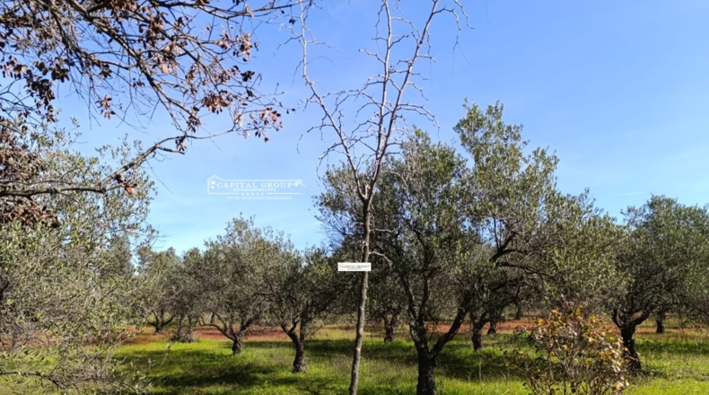 Huelva - Gibraleón - 6623m2
