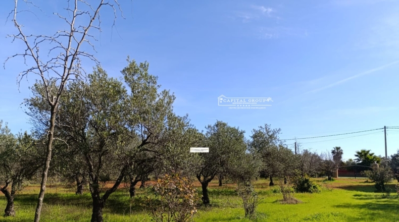 Huelva - Gibraleón - 6623m2