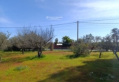 Finca rústica en venta en Gibraleón ref: TR264569 foto