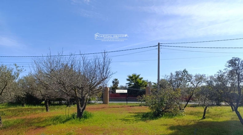 Huelva - Gibraleón - 6623m2