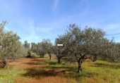 Finca rústica en venta en Gibraleón ref: TR264569 foto