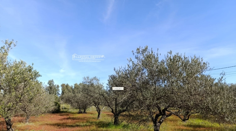 Huelva - Gibraleón - 6623m2