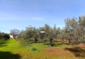 Finca rústica en venta en Gibraleón ref: TR264569 foto