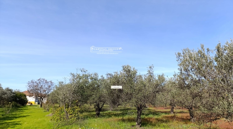 Huelva - Gibraleón - 6623m2