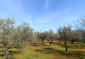 Finca rústica en venta en Gibraleón ref: TR264569 foto